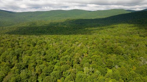 00 Albin Hill, Bethel, VT, 05060 | Card Image