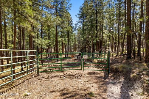 11 County Road 2135, Alpine, AZ, 85920 | Card Image