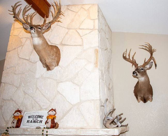 290 Dominion Road, Home with 0 bedrooms, 0 bathrooms and null parking in Mountain Home TX | Image 11