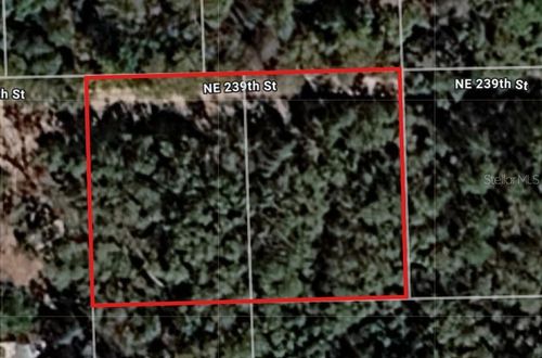 Lot 18 & 19 Ne 239th Street, Fort Mc Coy, FL, 32134 | Card Image