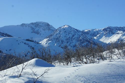 7-2265 Lauren Ln, Eden, UT, 84310-9785 | Card Image