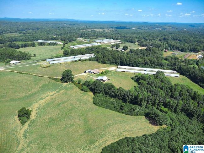 1690 Mount Moriah Rd, House other with 3 bedrooms, 2 bathrooms and null parking in Delta AL | Image 24