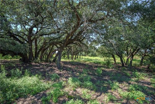 TBD N Levita Rd, Gatesville, TX, 76528 | Card Image