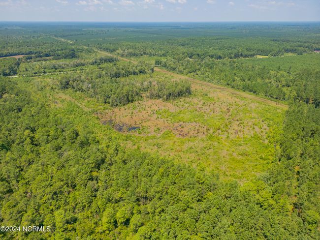 949 General Howe Hwy Road, Home with 0 bedrooms, 0 bathrooms and null parking in Riegelwood NC | Image 19