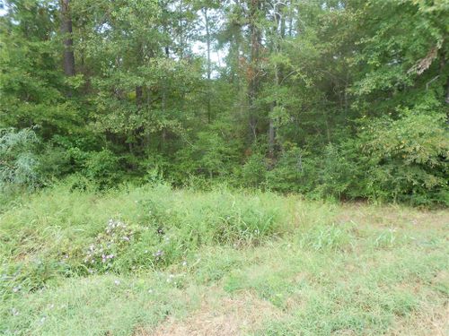 957 N Fm 356, Onalaska, TX, 77360-6031 | Card Image