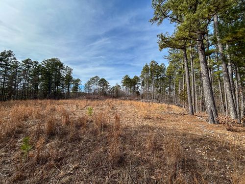 513 Timberline Rd, Willow Springs, MO, 65793-3529 | Card Image