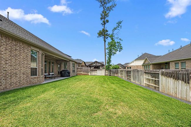 Low maintenance backyard. What would you do back here? | Image 48