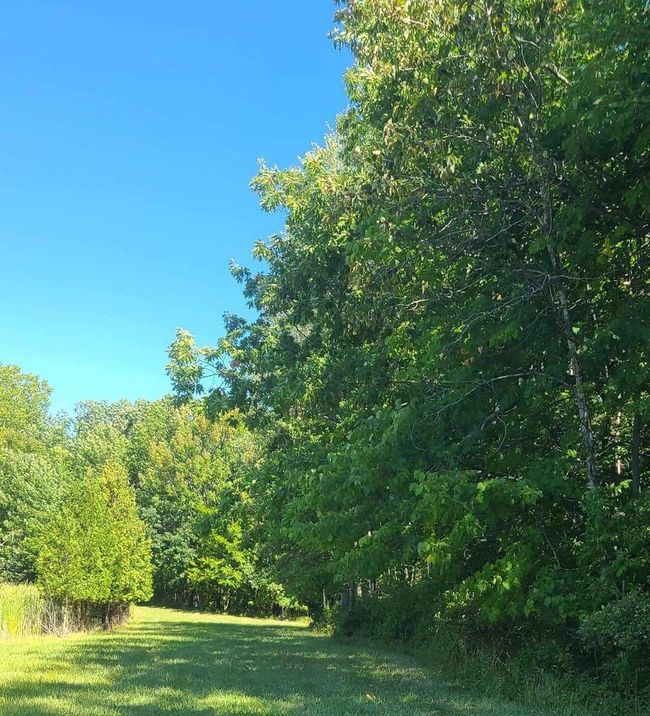1150 Logwood Court, House other with 4 bedrooms, 2 bathrooms and null parking in MANITOWOC RAPIDS WI | Image 84