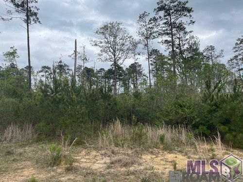 TBD Lot B Teal Mcdaniel Rd, Pine Grove, LA, 70453 | Card Image