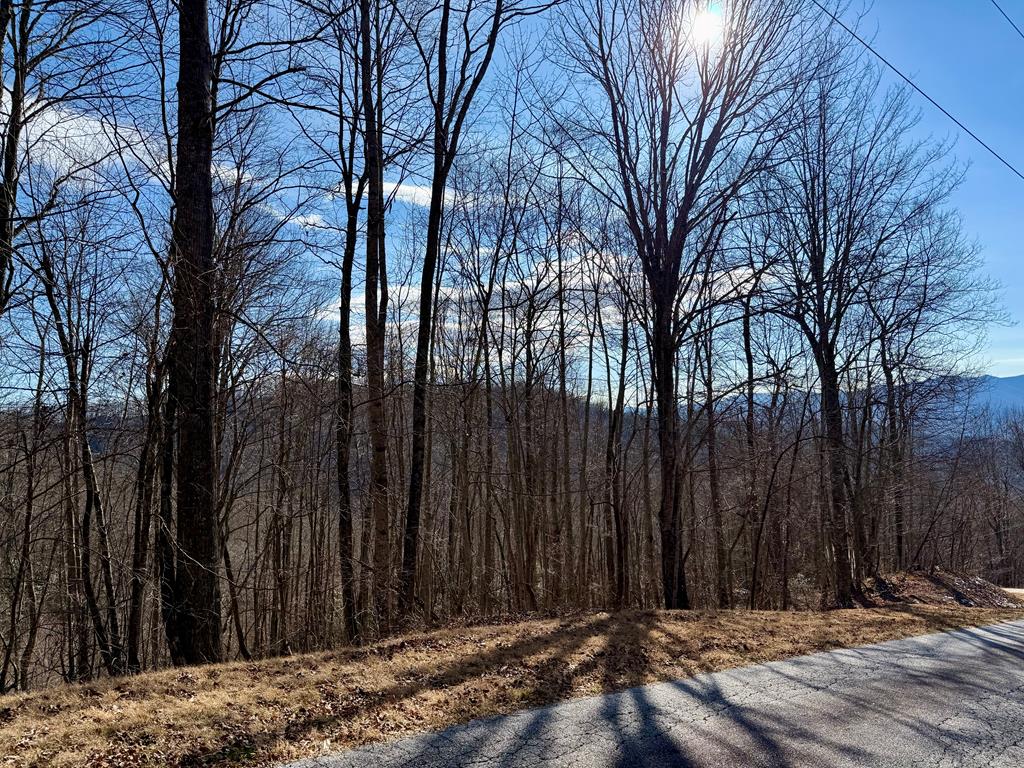 Land in Bryson City