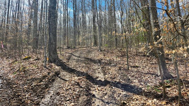 TRACT-1-PIKE-LAKE-GETAWA - 0 Pike Lake Rd, Home with 0 bedrooms, 0 bathrooms and null parking in Bainbridge OH | Image 18
