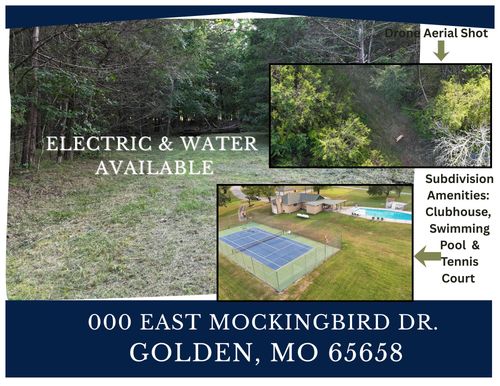 000 E Mockingbird Dr, Golden, MO, 65658 | Card Image