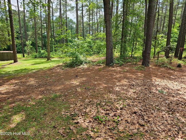 181 Joel Rd, Home with 0 bedrooms, 0 bathrooms and null parking in Carthage NC | Image 16