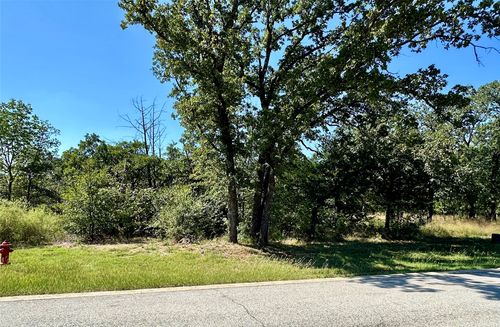 197 Palmilla Dr, Gordonville, TX, 76245-1408 | Card Image