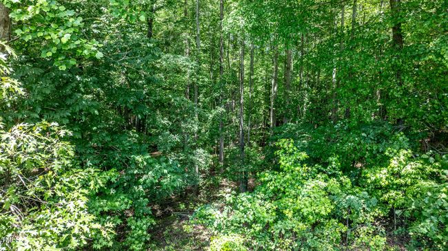 Wooded Building Lot | Image 17