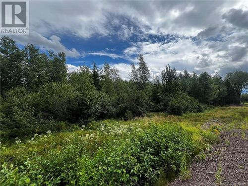 11 Hidden Pines Crt, Lutes Mountain, NB, E1G6E8 | Card Image