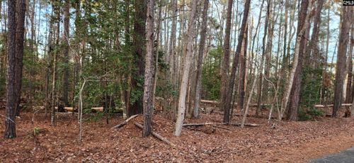 113 Buck Dr, Hopkins, SC, 29061 | Card Image