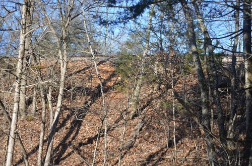 000 Baldknobber Dr, Reeds Spring, MO, 65737 | Card Image