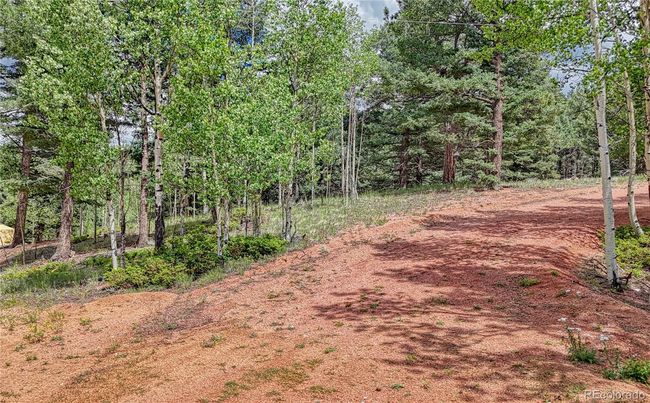 94 Mariposa Cir, Home with 0 bedrooms, 0 bathrooms and null parking in Cripple Creek CO | Image 12