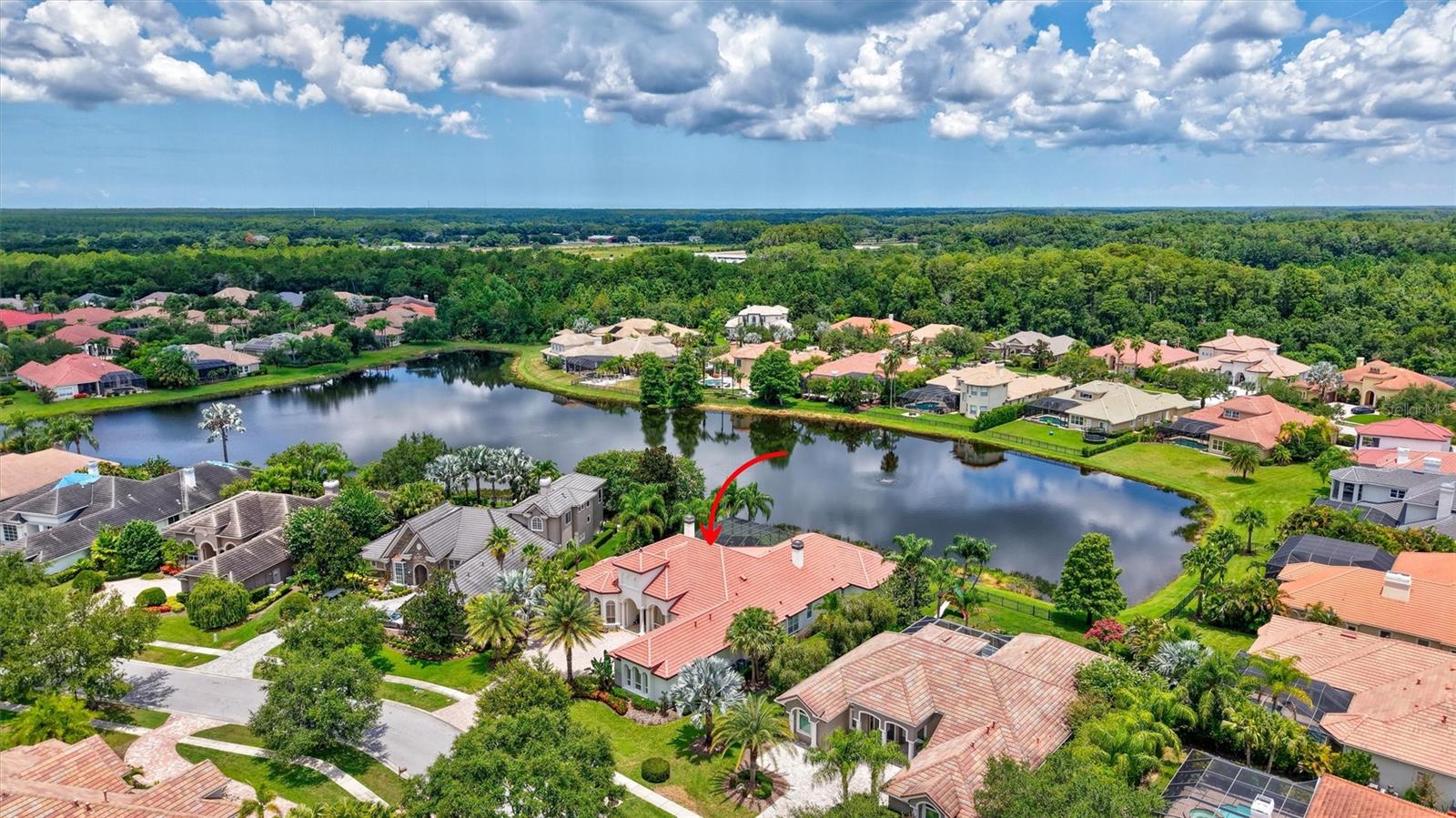 Residential in TAMPA 3