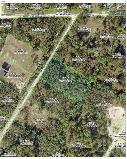 000 Little Stone Drive, Webster, FL, 33597 | Card Image