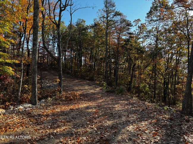 0 Mountain Ash Way, Home with 0 bedrooms, 0 bathrooms and null parking in Sevierville TN | Image 10