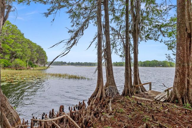 View of Lake | Image 11