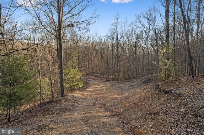 LOT 6 Back Creek Rd, Home with 0 bedrooms, 0 bathrooms and null parking in GORE VA | Image 12