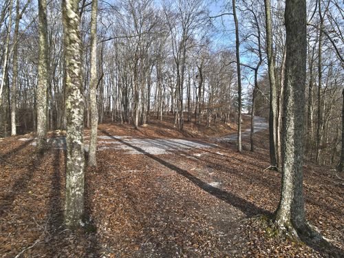 45 Carson Ln, Russell Springs, KY, 42642-8651 | Card Image