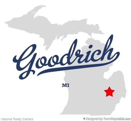 10422 Valley Creek Dr, Goodrich, MI, 48438 | Card Image