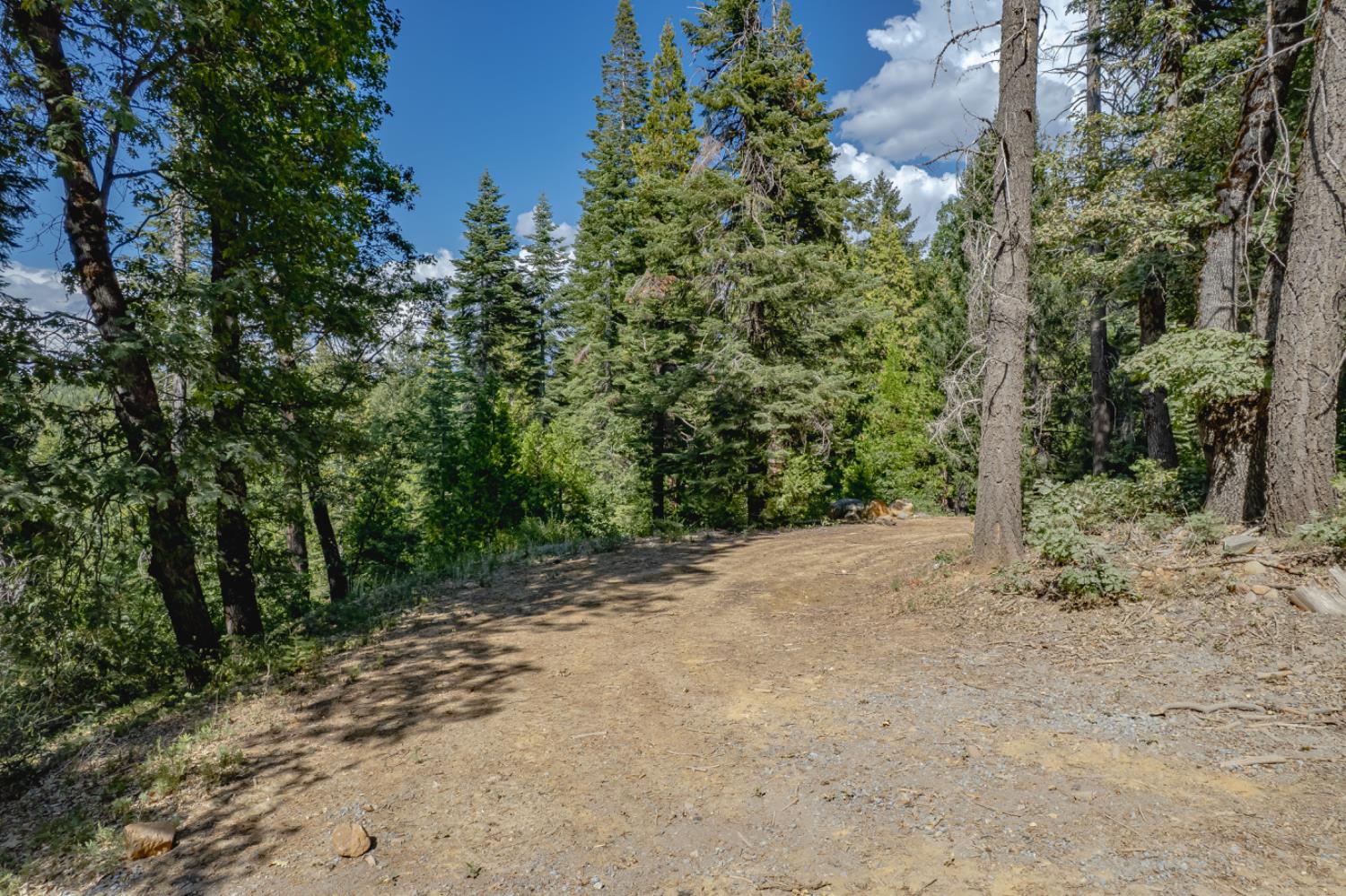 Land in Nevada City 3