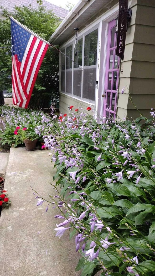 3444 Broad St, House other with 3 bedrooms, 2 bathrooms and null parking in Dexter MI | Image 83