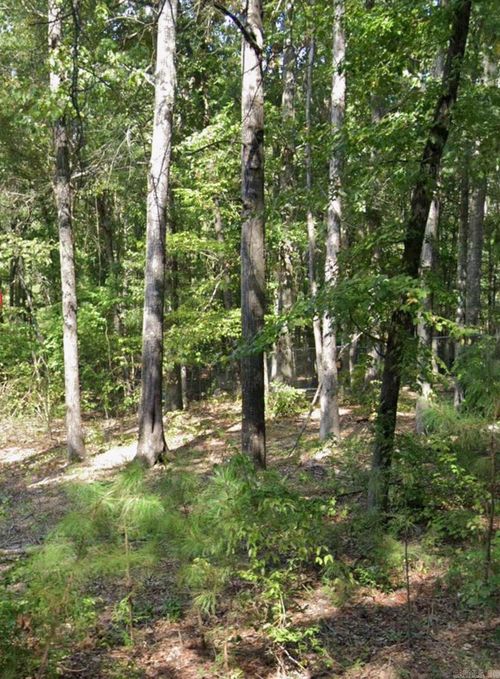 Lot 011 W Jones St, White Hall, AR, 71602-4409 | Card Image