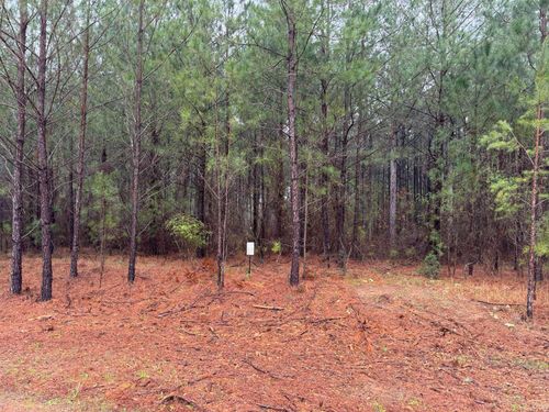 1060 Longleaf Way, Lincolnton, GA, 30817 | Card Image