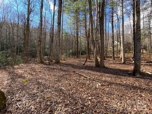 99999 Laurel Branch Dr, Black Mountain, NC, 28711 | Card Image
