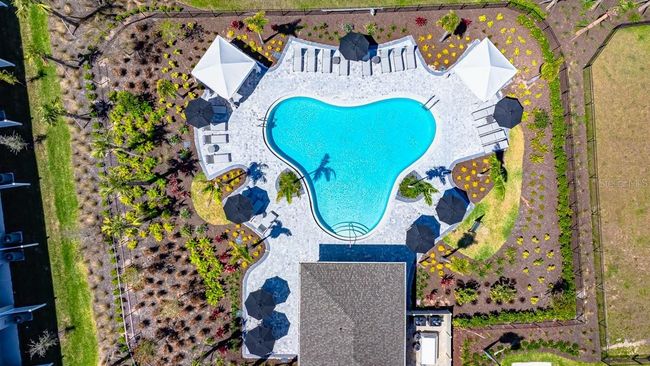 The Townhomes at Azario Lakewood Ranch Community Amenities | Image 19
