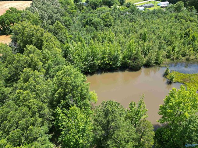 14 Acres Beaver Creek Rd, Home with 0 bedrooms, 0 bathrooms and null parking in Laceys Spring AL | Image 11