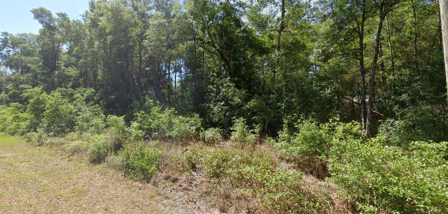Land in DUNNELLON