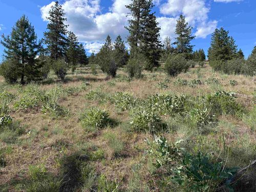 6581 Saddle Mountain Way, Deer Park, WA, 99006-8474 | Card Image