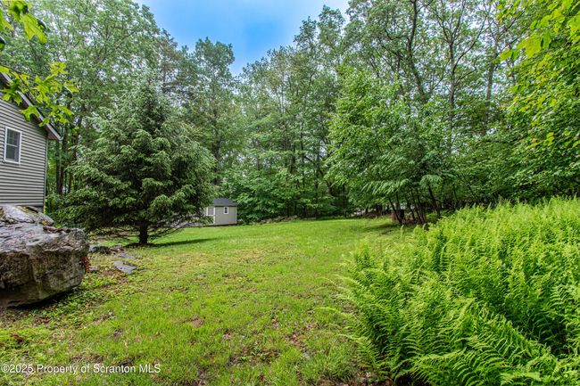 Yard | Image 31