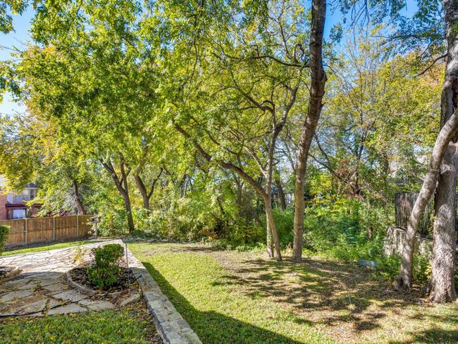 View of tree line | Image 33