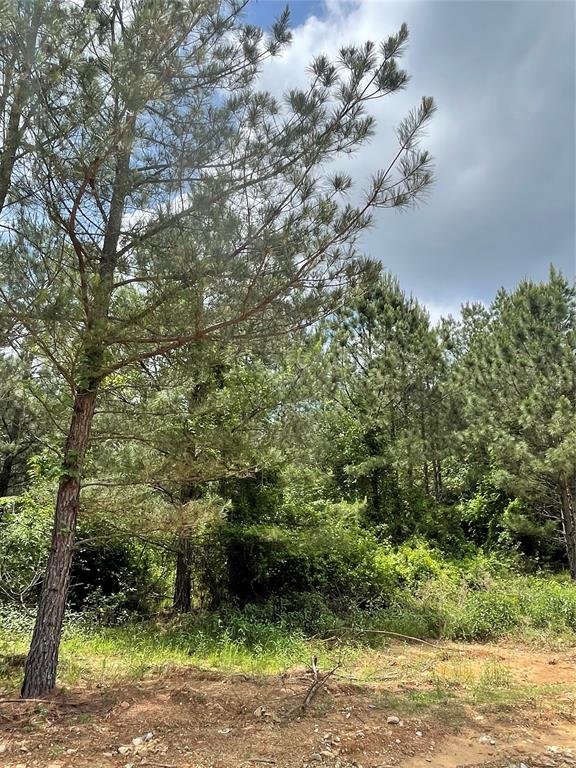 Land in Broken Bow
