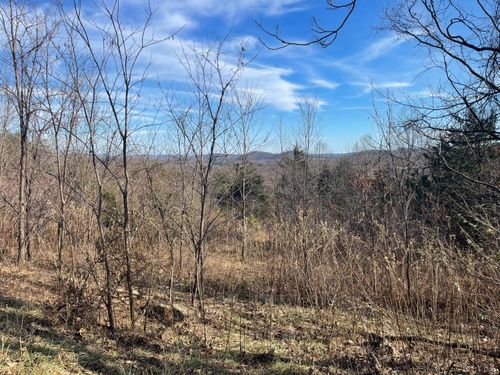 0 Taylor Mountain Rd, Thaxton, VA, 24174 | Card Image