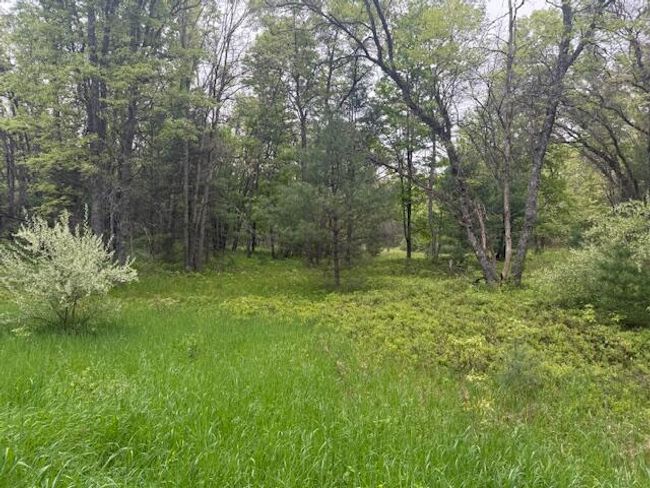 4465 E Old M 63, House other with 3 bedrooms, 1 bathrooms and null parking in Luther MI | Image 33