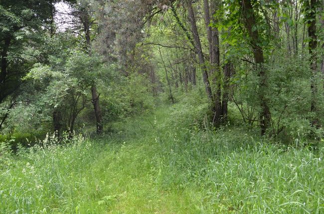 4500 S 42 Nd St, Home with 0 bedrooms, 0 bathrooms and null parking in Climax MI | Image 34