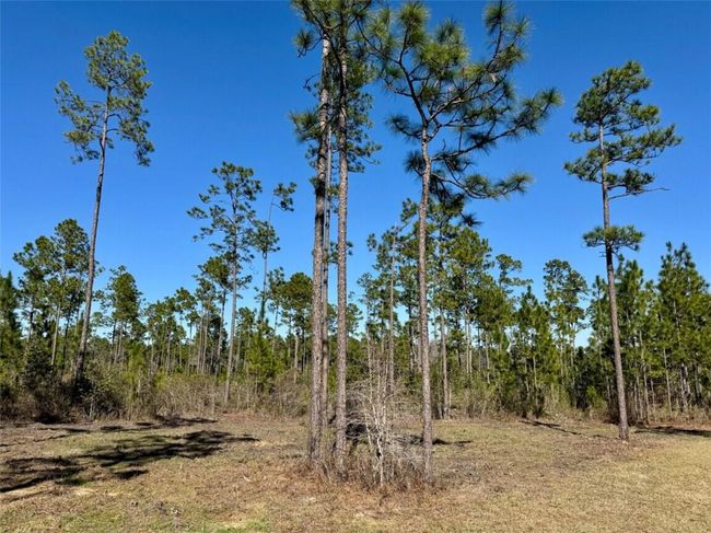0 Robert White Rd, Home with 0 bedrooms, 0 bathrooms and null parking in Bay Minette AL | Image 17