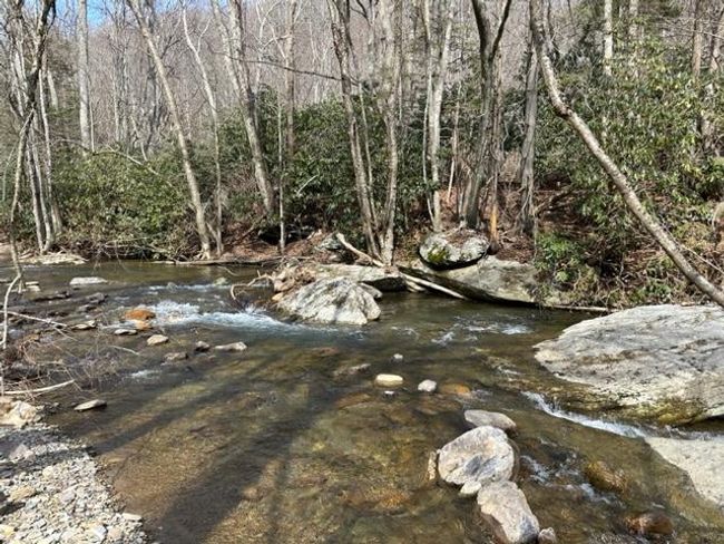 267 Sturgills Rd, House other with 3 bedrooms, 3 bathrooms and null parking in Mouth of Wilson VA | Image 91