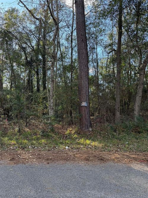 15737 Aspen Dr, Montgomery, TX, 77356 | Card Image