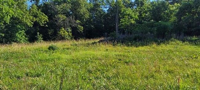 20220620_083325 | Image 45