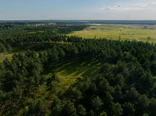 803 Lido Lane, Rome, WI, 54457 | Card Image